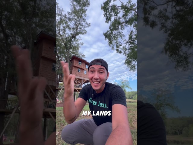 The Government Won’t Let Me alive In My Treehouse
