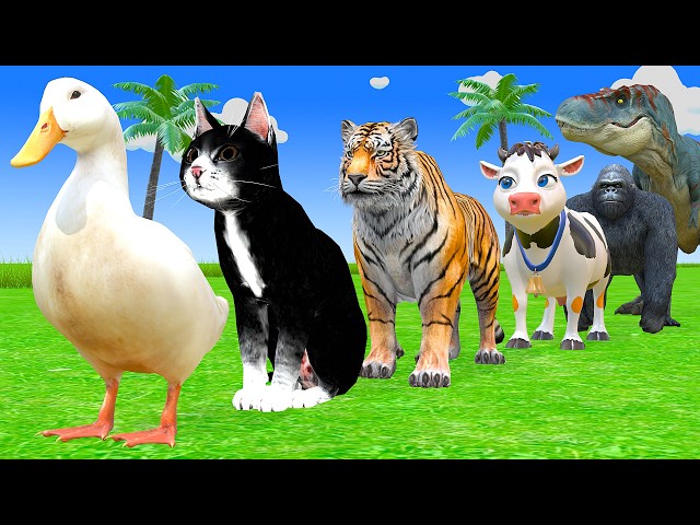 Long Slide Game With Cow Elephant Gorilla Hippopotamus Tiger 3d Animal Game Funny 3d Animals