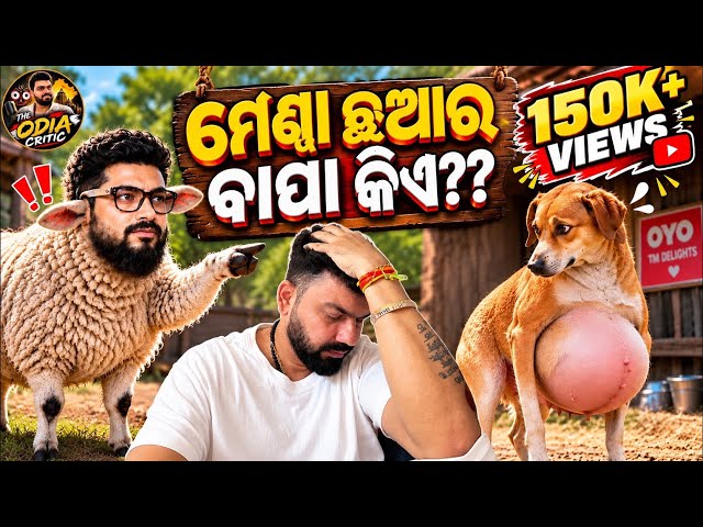 ମେଣ୍ଢା ଛୁଆର ବାପା କିଏ?? Bhubaneswar Mendha roast video || The Odia Critic || #tapimishra