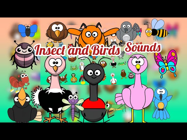 Animal Sounds Song for Kids | Birds & Insects Nursery Rhymes and Learning Songs 🐥🐛+compilation 