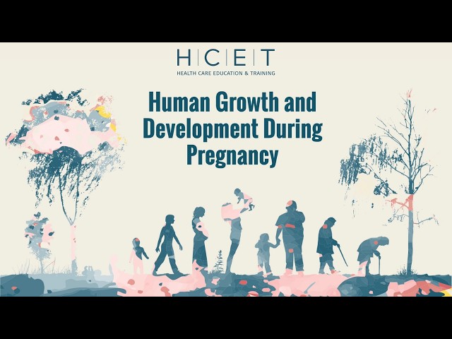 Human Growth and Development During Pregnancy (English)