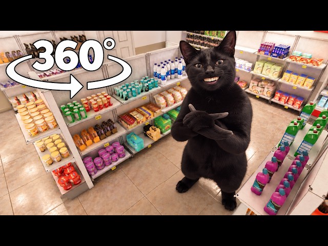 360° Clapping Cat - Supermarket! VR 4K