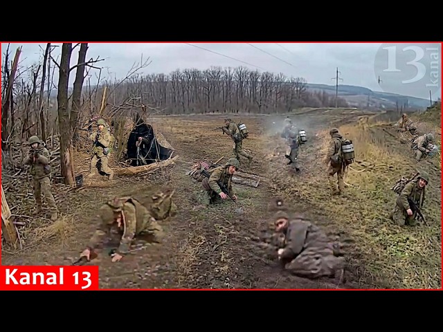 Ukrainian drones eliminate large number of desperate Russian paratroopers seeking to hide