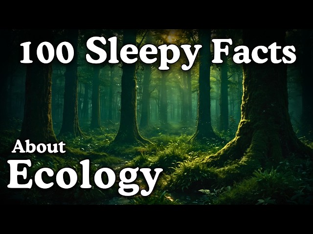 The Most Relaxing Facts About Ecology to Fall Asleep To