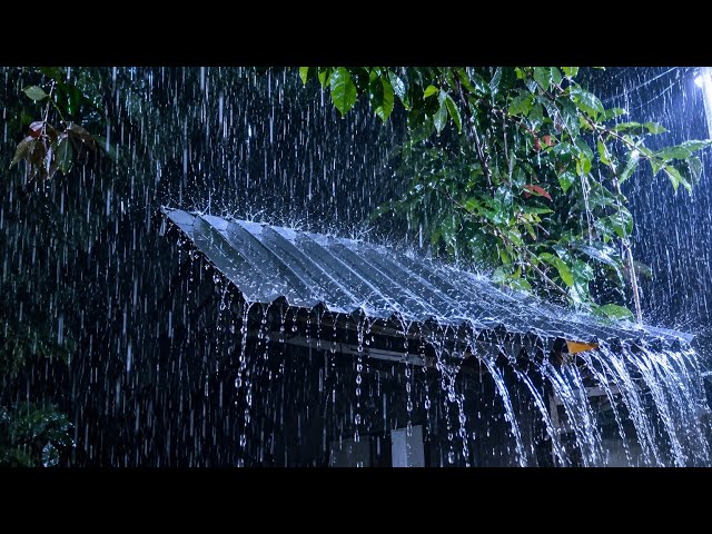 Heavy Rain on a Tin Roof 🌧️ Deep Thunder Sounds for Sleeping