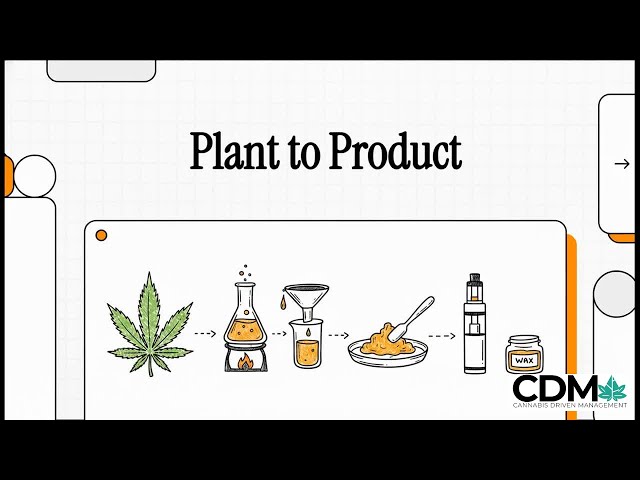 Cannabis Concentrates Training