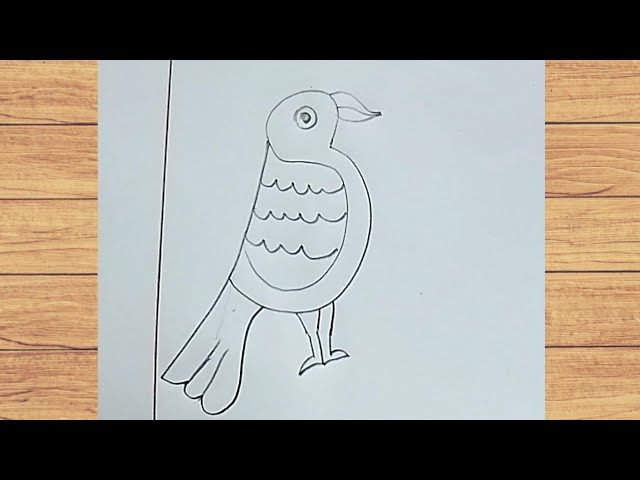 Bird drawing challenge for artists || How to draw a bird with pencil || Puja's easy art 