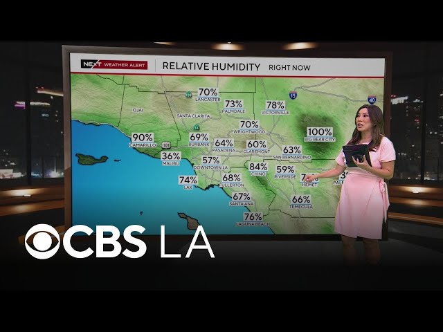 Amber Lee’s NEXT Weather forecast