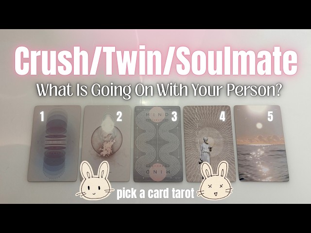 Pick a card🤍What Is Going On With Your Person? Crush/Twin/Soul Mate (Timeless Love Tarot Reading)