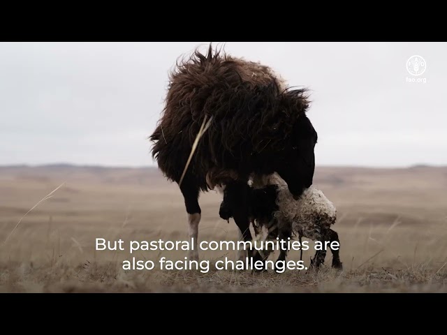 Pastoralism, Biodiversity Conservation, and Women’s Empowerment in Mongolia