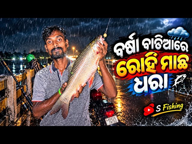 ଵାତିଆରେ ରୋହି ମାଛ ଧରାହେଲା ଡକପାନୀବିଜି ଫୋଲରୁ #fishing video 🐬🦈