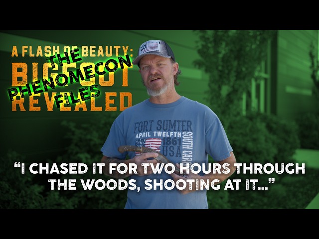 A Flash of Beauty: Tim