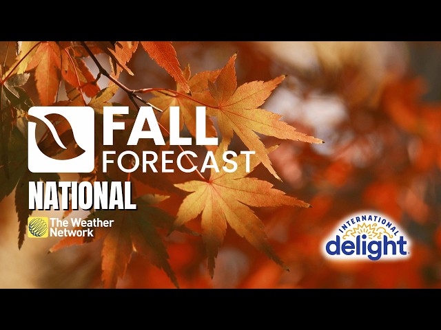 Canada's 2026 Fall Forecast: El Niño could keep the cold at bay | #fallforecast2026