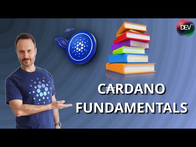 CARDANO FUNDAMENTALS - EVERYTHING YOU NEED TO KNOW TO START