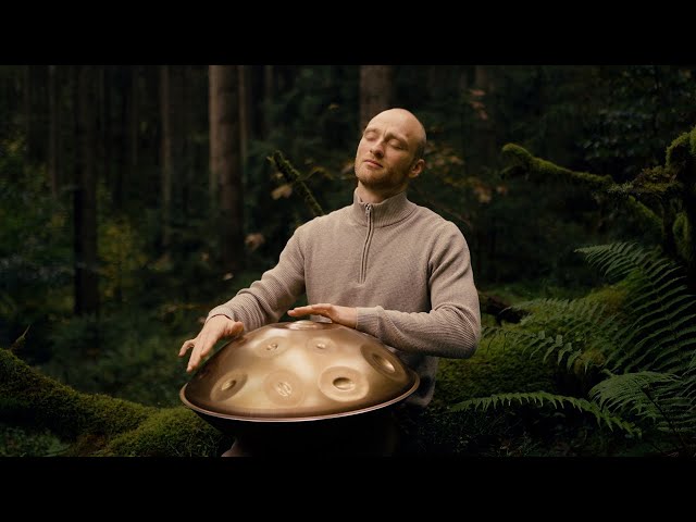 Nervous System Reset | 1 hour handpan meditation | Malte Marten