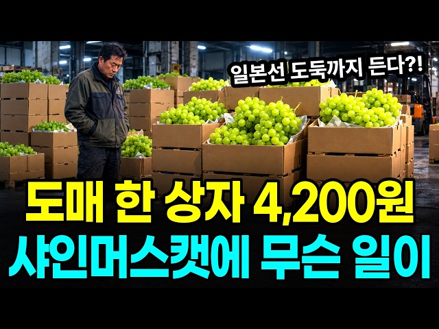 The Real Reason Behind the Fall of Shine Muscat, the Premium Fruit That Used to Sell Out at 30,00...