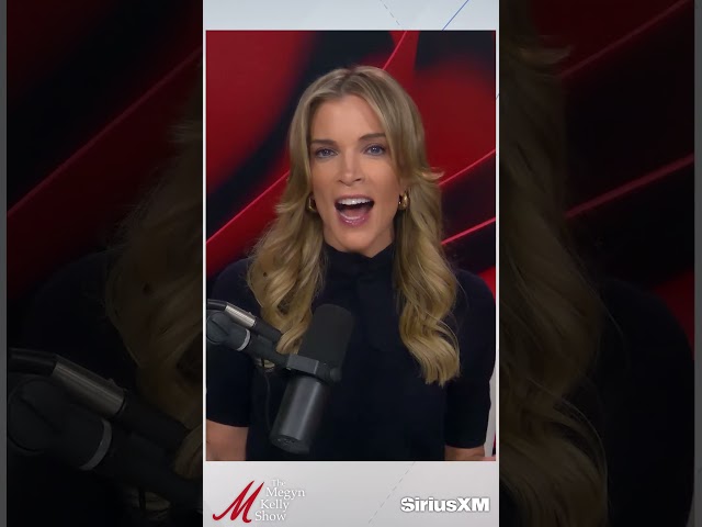 Megyn Kelly's Solution on Artificial Intelligence and How We Need a "Control-Alt-Delete"