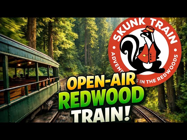 🚂 Open-Air Skunk Train Ride Through the Redwoods 🌲 | Epic Downhill Views!