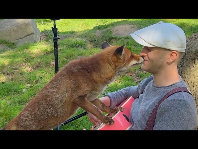 Singing for Animals Compilation 😭❤️❤️