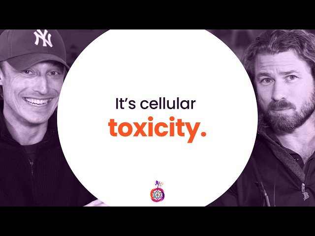 Understanding Toxicity Through Health Optimization Medicine | HOMe Podcast #009