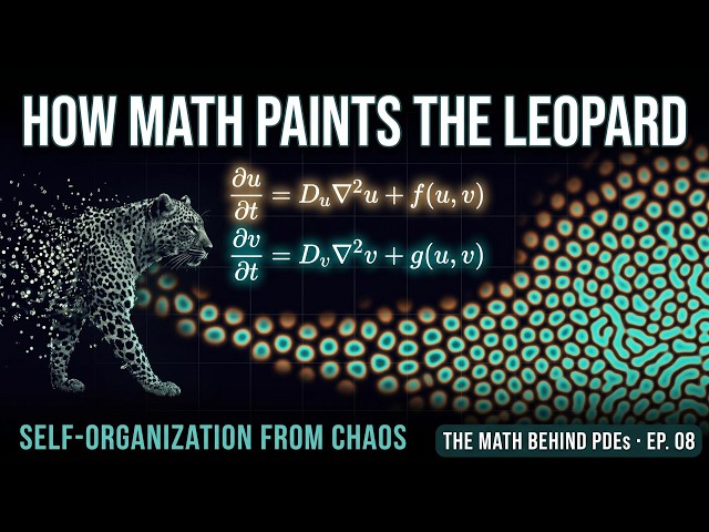 The Math That Decides a Leopard's Spots | Turing Patterns (The Math Behind PDEs Ep8)