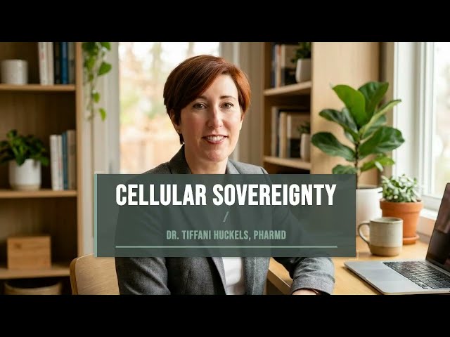Reclaim Your Energy & Your Edge #cellularhealth #cellularrenewal #hormonehealth #fatigue #brainfog