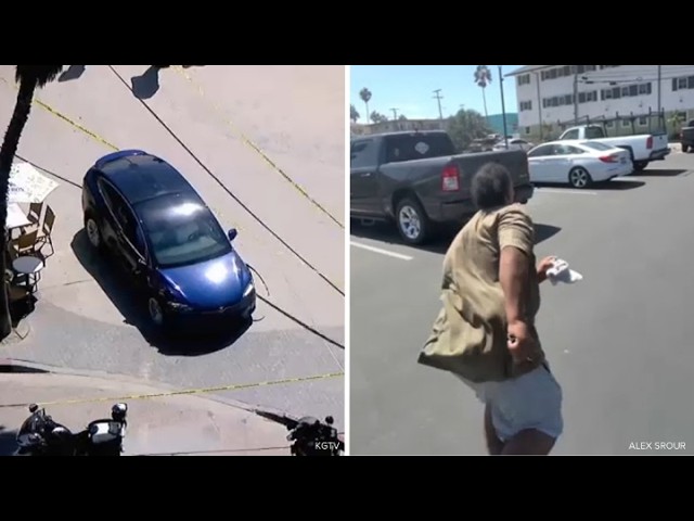 Bystanders chase down suspect after stolen Tesla nearly runs over pedestrians on boardwalk