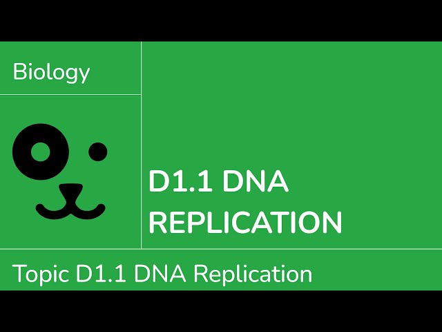 D1.1 DNA Replication [IB Biology SL/HL]