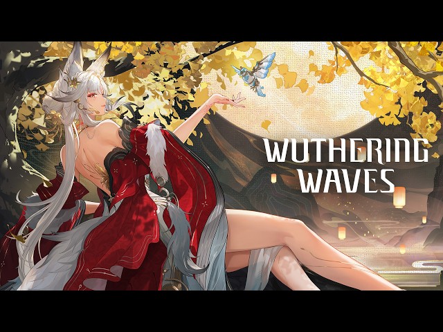 Wuthering Waves Resonator Combat Showcase | Hsin