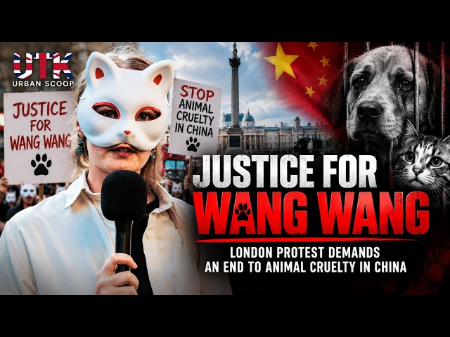 Justice for Wang Wang: London Protest Demands an End to Animal Cruelty in China