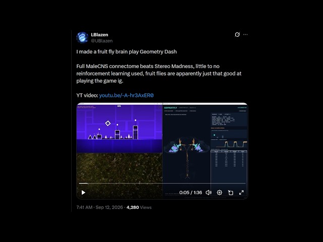 A Fly Just Beat a Geometry Dash Level - Daily GD News