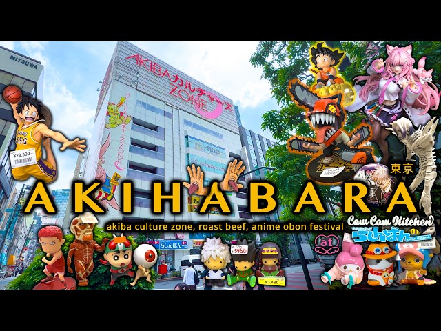Shopping in Akihabara Tokyo 4: Anime Figurine Heaven, Otaku Merch, Wagyu Roast Beef | Japan Vlog