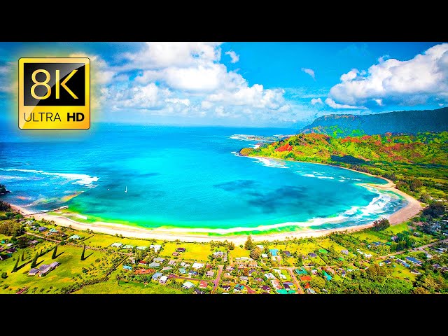 Exclusive Timelapse Collection in 8K VIDEO ULTRA HD 60FPS