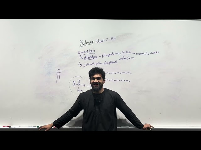 2025-2026 MCAT Biochemistry, Chapter 5- Fats and Lipids