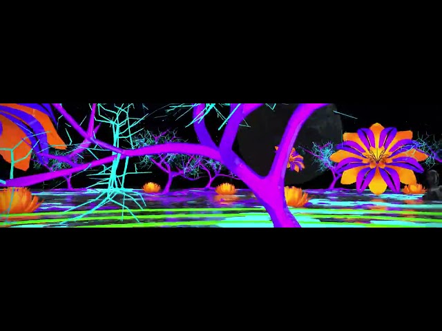 VJ LOOP 4K