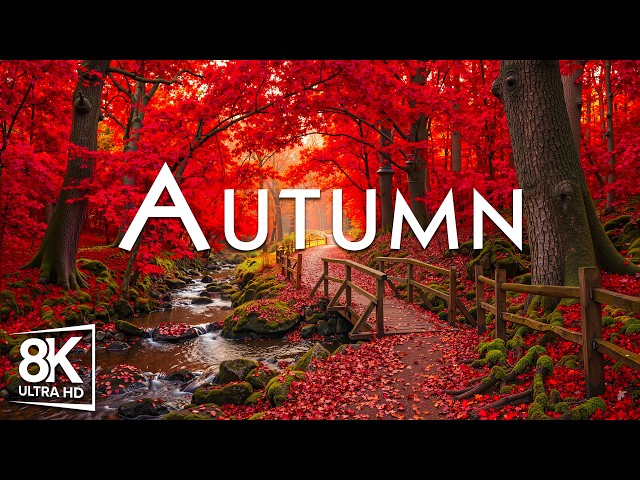 🍂 Autumn Nature 8K UHD | Stunning Fall Foliage, Peaceful Forests & Scenic Landscapes