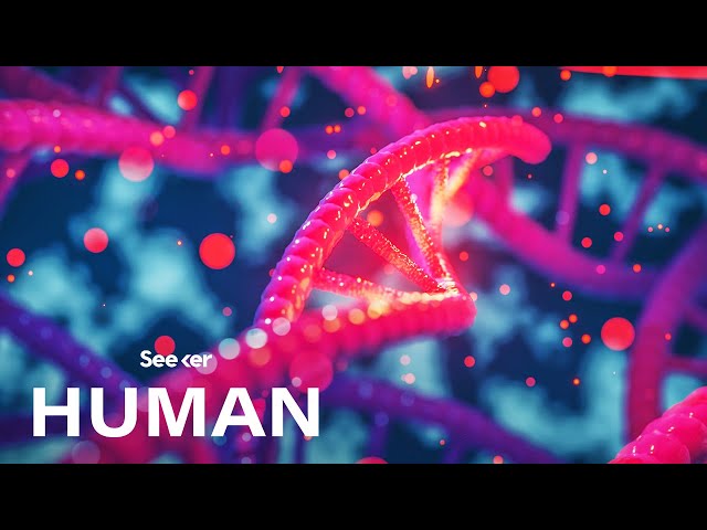 This Is How Your DNA Made You