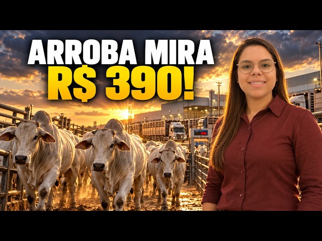 Cattle prices continue to rise and ranchers' behavior may further intensify this tug-of-war