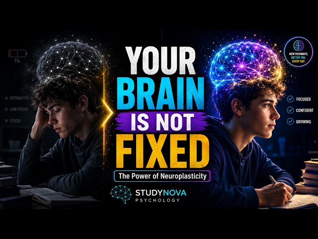 Your Brain Can Change: The Power of Neuroplasticity | StudyNova