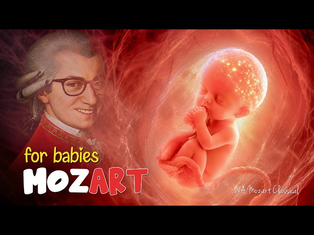 Pregnancy Music Mozart ♫ Classical Music for Babies Brain Development ♫ Unborn Baby Music
