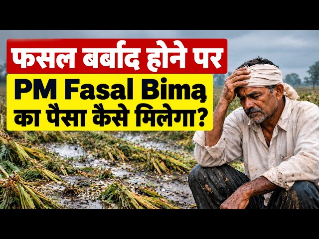 Bihar News: फसल बर्बाद होने पर PM Fasal Bima का पैसा कैसे मिलेगा? जानें क्लेम की पूरी प्रक्रिया!