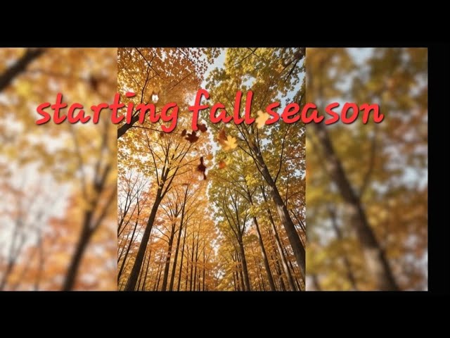 #fall season #leafs #colors #subscribe #shorts #shortsvideo #share 