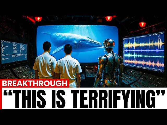 Scientists Just Decoded Language of the Whales Using AI... And It's Not What You Think