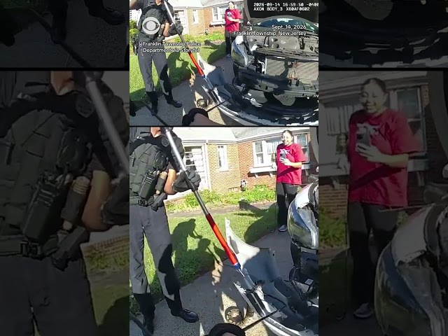 Watch: Police remove 3-foot-long python from car grille #shorts