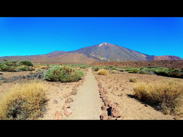 Ambient meditation music | Wildlife and nature video compilation | Relax music