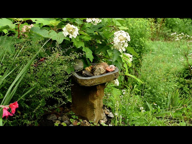 Water for the Honeybees