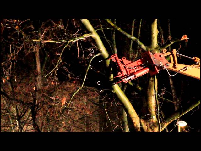 Baumfällmaschine pflückt und fällt Baum