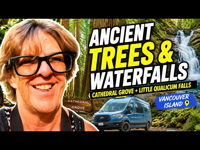 Cathedral Grove & Little Qualicum Falls | Vancouver Island Road Trip