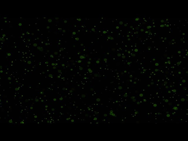 Satisfying Swirling Bokeh Animation Loop