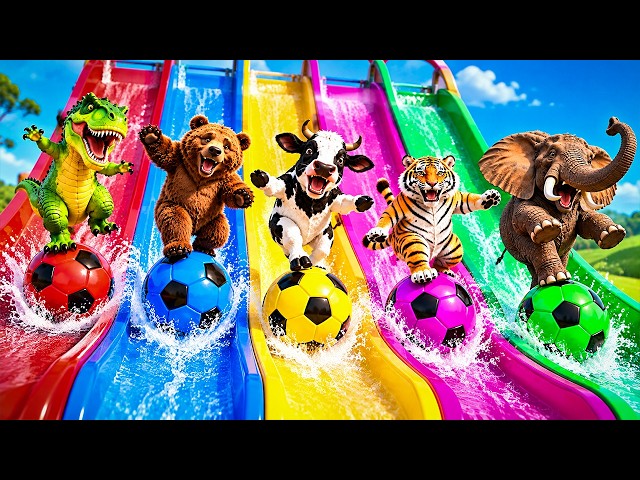 Long Water Slide Game with Giant Giraffe, Gorilla, Tigers, Lion, Cow, Hippopotamus and Elephant